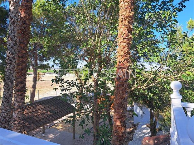 Вилла в Беньель 250 м2 №VL2486928BF  - Продажа - 27 preview