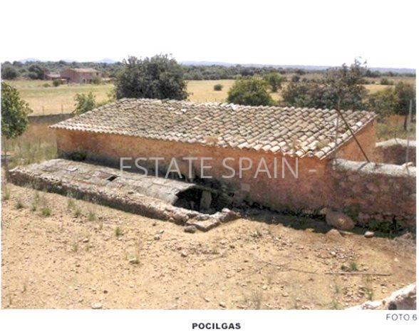 Сельский дом в Пальма-де-Майорка 1485 м2 №VL2169D0B0E  - Продажа - 20 preview