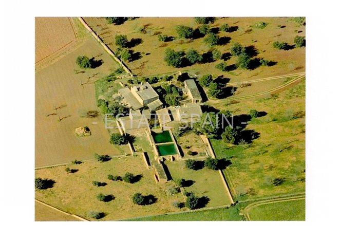 Сельский дом в Пальма-де-Майорка 1485 м2 №VL2169D0B0E  - Продажа - 7 preview