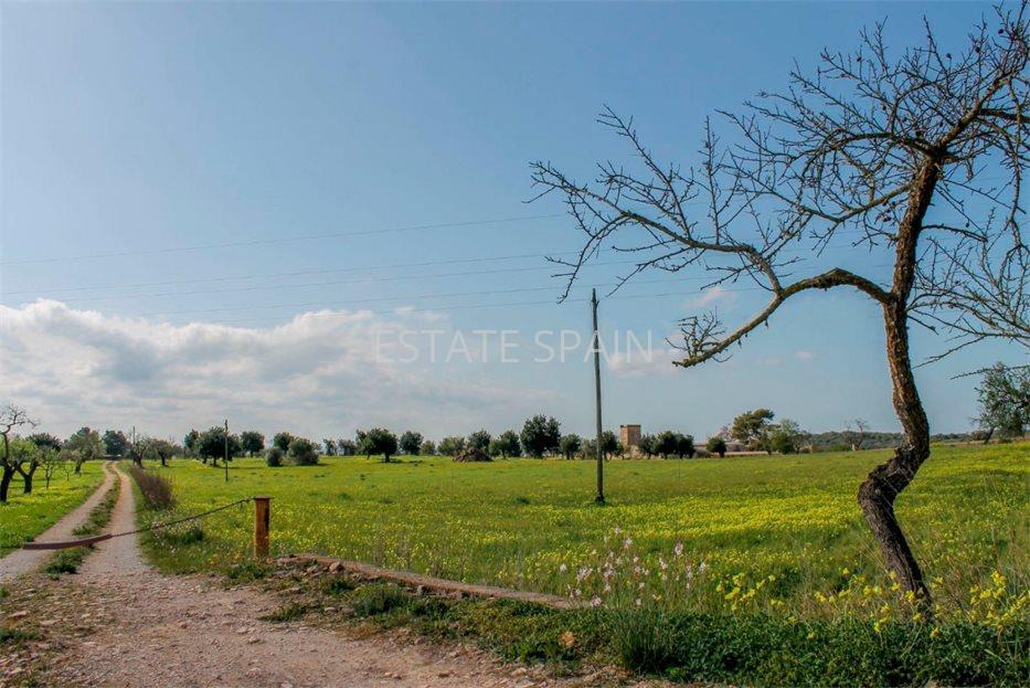 Сельский дом в Пальма-де-Майорка 1485 м2 №VL2169D0B0E  - Продажа - 5 large