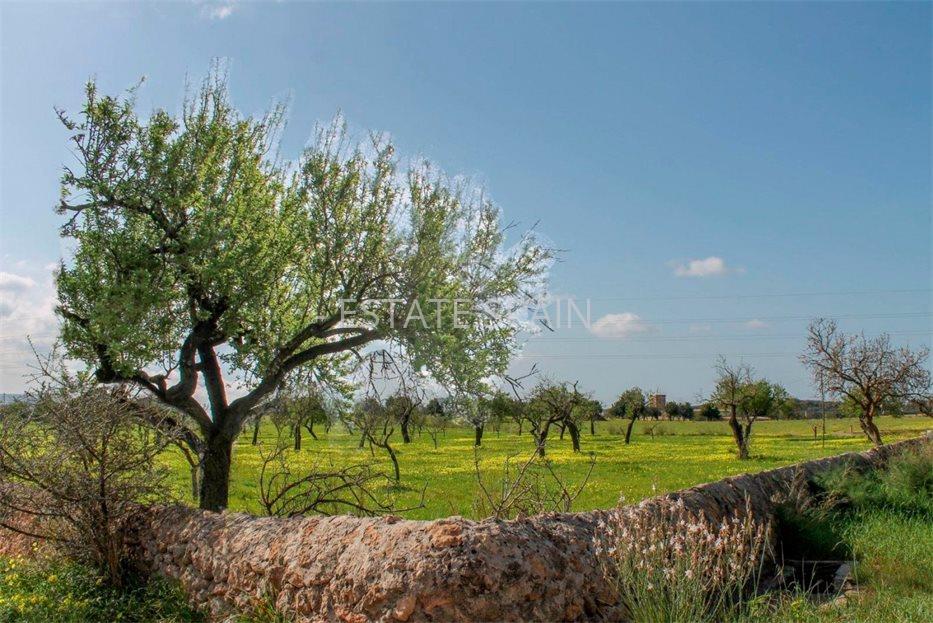 Сельский дом в Пальма-де-Майорка 1485 м2 №VL2169D0B0E  - Продажа - 28 large