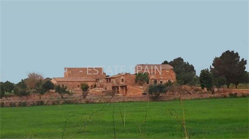 Сельский дом в Пальма-де-Майорка 1485 м2 №VL2169D0B0E  - Продажа - 27 preview