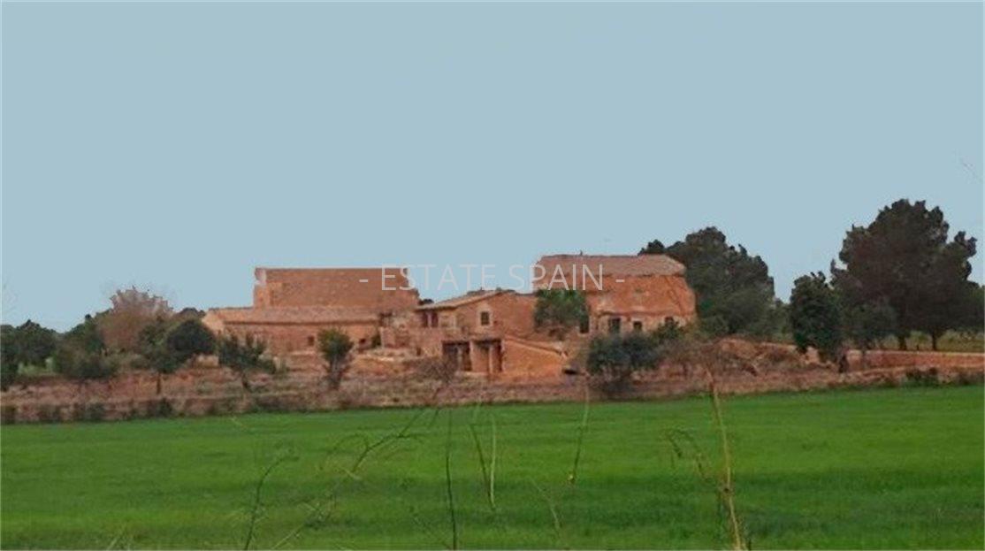 Сельский дом в Пальма-де-Майорка 1485 м2 №VL2169D0B0E  - Продажа - 27 large