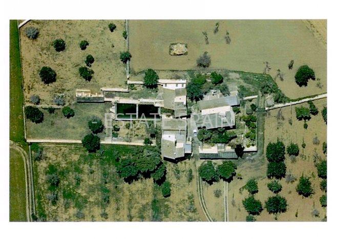 Сельский дом в Пальма-де-Майорка 1485 м2 №VL2169D0B0E  - Продажа - 8 preview