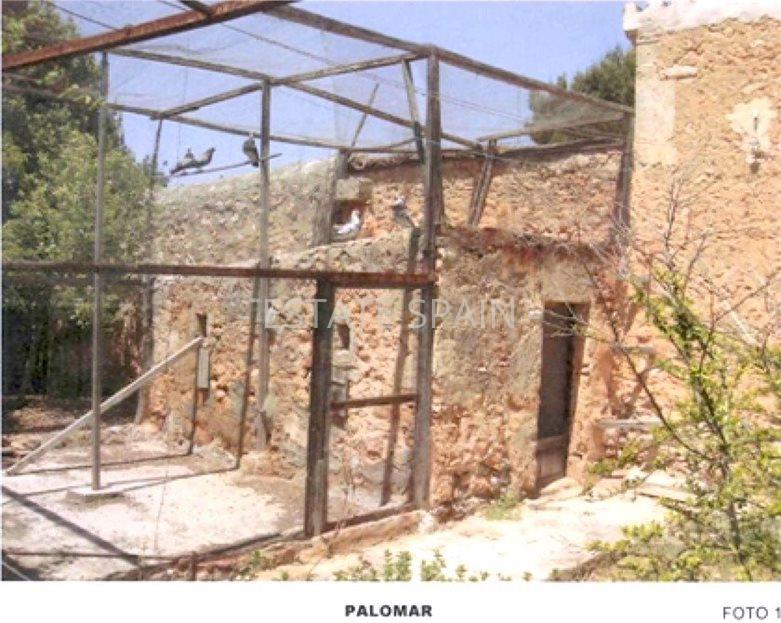 Сельский дом в Пальма-де-Майорка 1485 м2 №VL2169D0B0E  - Продажа - 19 large