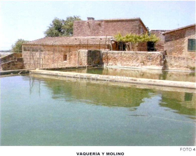 Сельский дом в Пальма-де-Майорка 1485 м2 №VL2169D0B0E  - Продажа - 12 large