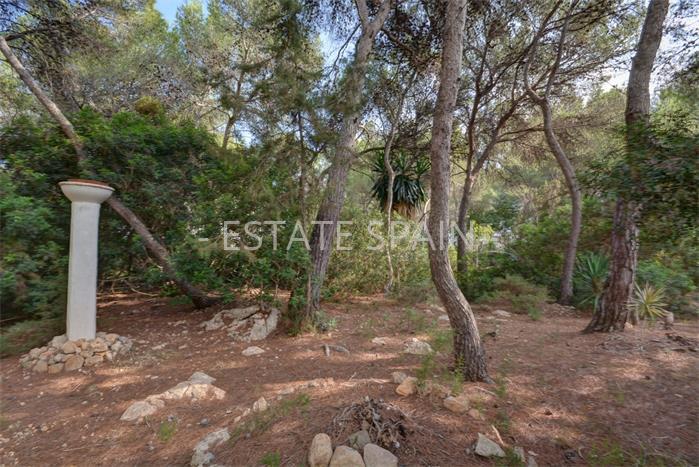 Участок в Санта-Эулалия-дель-Рио 805 м2 №PL17112886DA  - Продажа - 2 preview