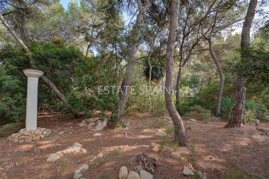 Участок в Санта-Эулалия-дель-Рио 805 м2 №PL17112886DA  - Продажа - 2 large