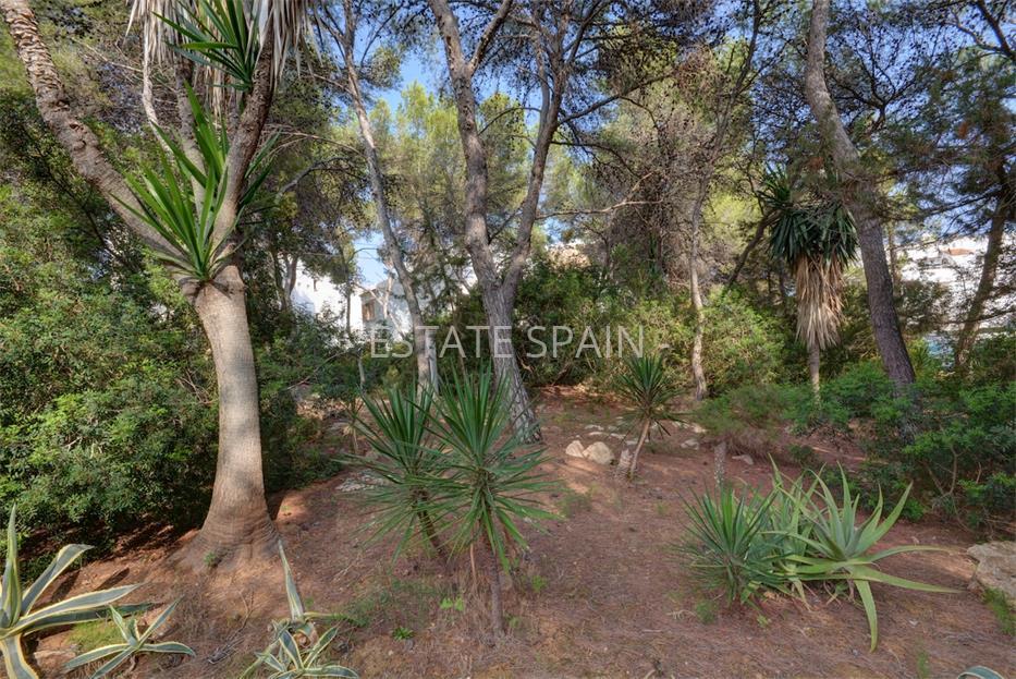 Участок в Санта-Эулалия-дель-Рио 805 м2 №PL17112886DA  - Продажа - 3 large