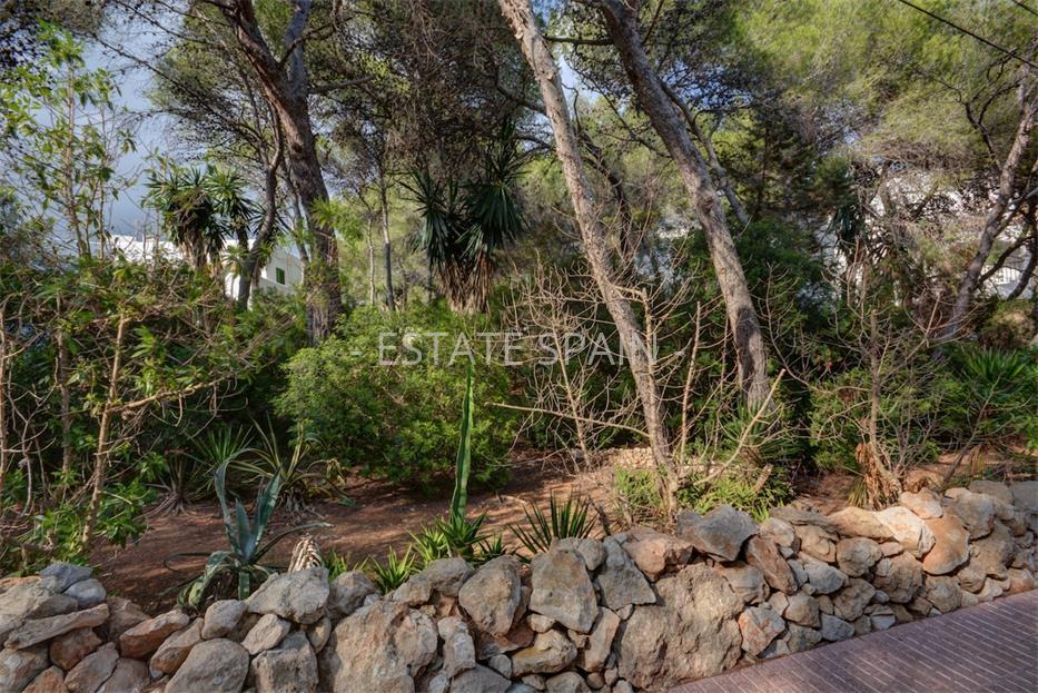 Участок в Санта-Эулалия-дель-Рио 805 м2 №PL17112886DA  - Продажа - 4 large