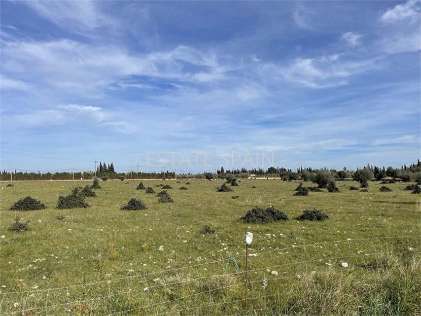 Вилла в Пальма-де-Майорка 490 м2 №VL25122A8419  - Продажа - 6 large