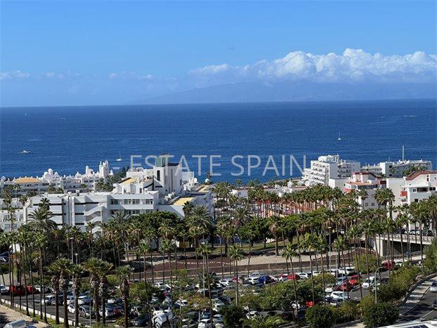 Вилла в Коста-Адехе 350 м2 №VL25121683076  - Продажа - 46 preview