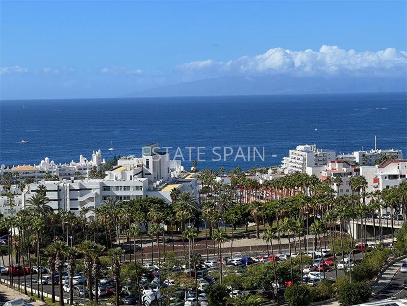 Вилла в Коста-Адехе 350 м2 №VL25121683076  - Продажа - 46 large