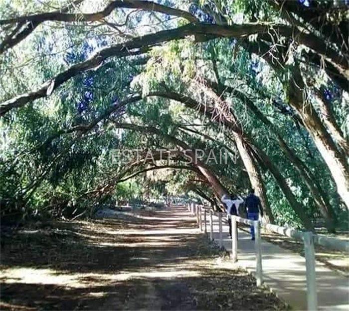 Бунгало в Торревьехе 79 м2 №BL25917866C5  - Продажа - 11 large