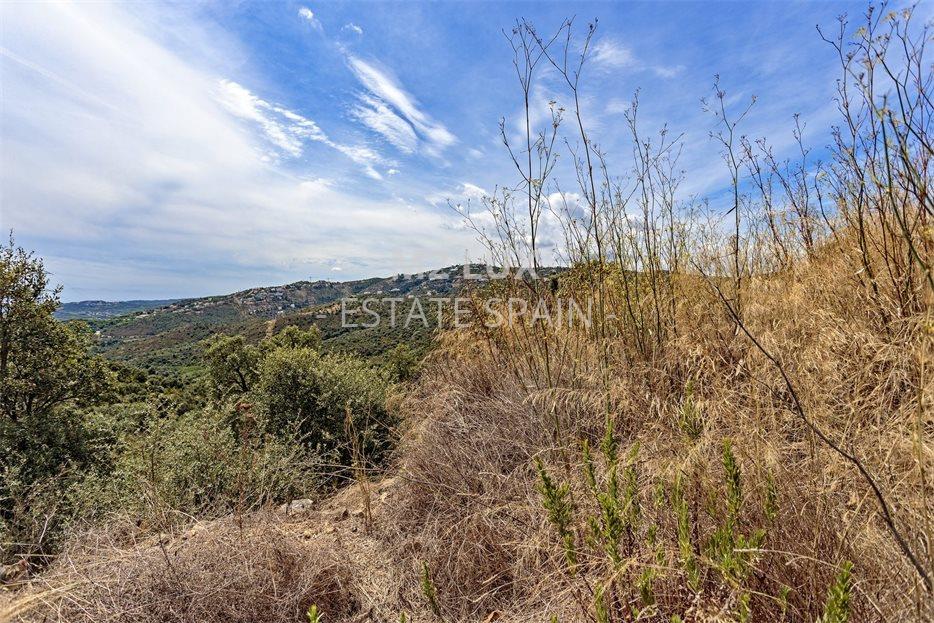 Участок в Кастель-Пладжа-де-Аро 943 м2 №PL20986064D  - Продажа - 1 large