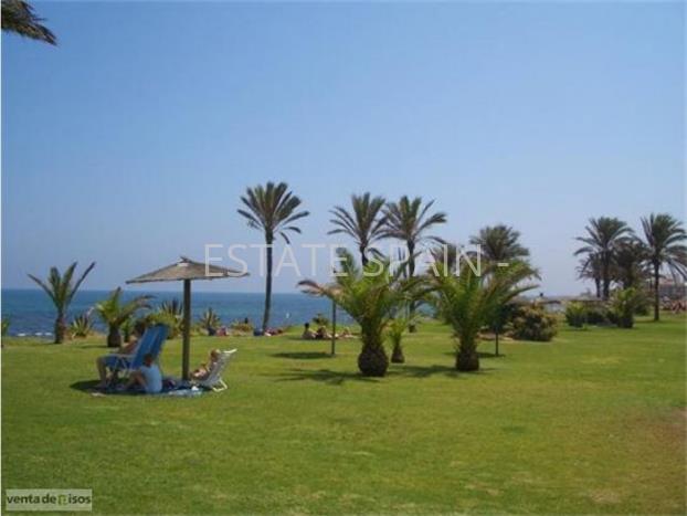 Бунгало в Торревьехе 56 м2 №TAU181264BF5  - Продажа - 11 preview