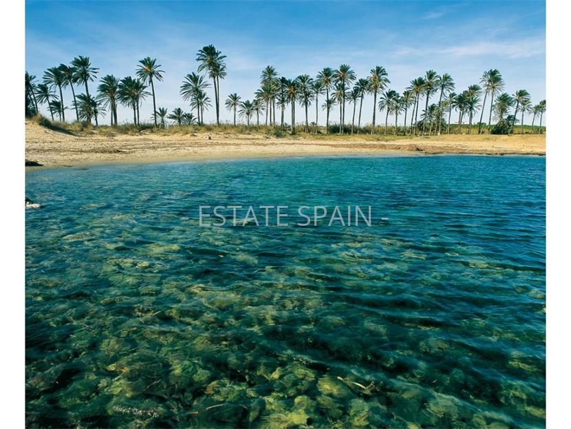 Бунгало в Торревьехе 56 м2 №TAU181264BF5  - Продажа - 15 large