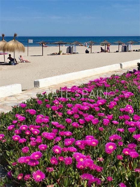 Таунхаус в Аликанте 110 м2 №BL24331E2E91  - Продажа - 11 large