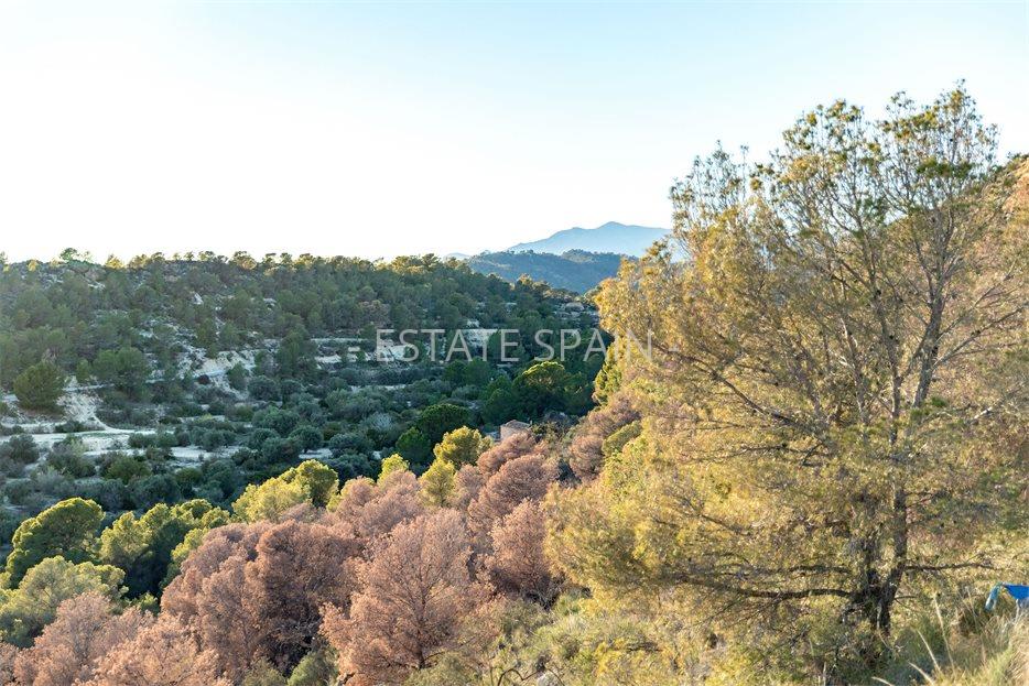 Апартаменты в Финестрате 135 м2 №ART25109FECB8  - Продажа - 8 large