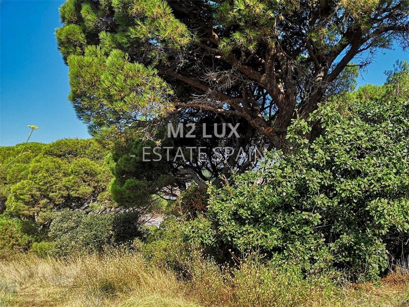 Участок в Сан-Фелиу-де-Гишольс 504 м2 №PL208382B91  - Продажа - 2 large