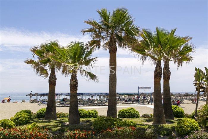 Бунгало в Михасе 75 м2 №BL251092D414  - Продажа - 10 preview