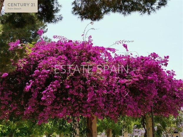 Вилла в Манакоре 133 м2 №VL20330CD3C2  - Продажа - 4 preview