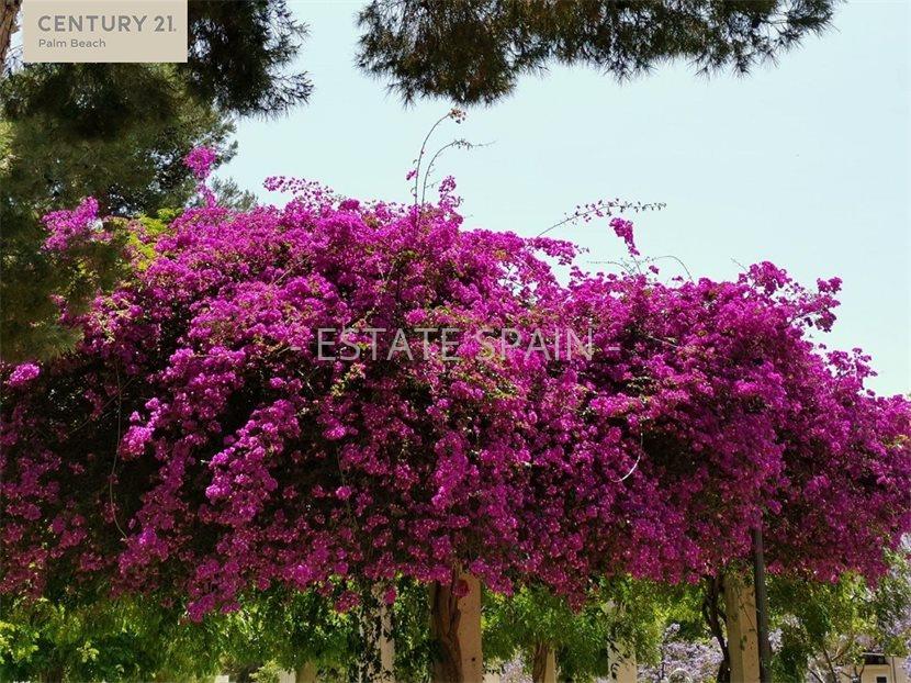 Вилла в Манакоре 133 м2 №VL20330CD3C2  - Продажа - 4 large