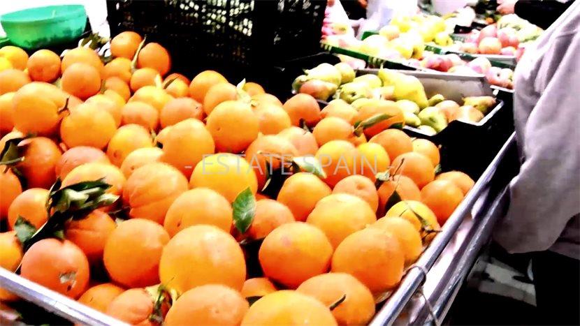 Апартаменты в Торревьехе 35 м2 №ART25917F594E  - Продажа - 25 preview