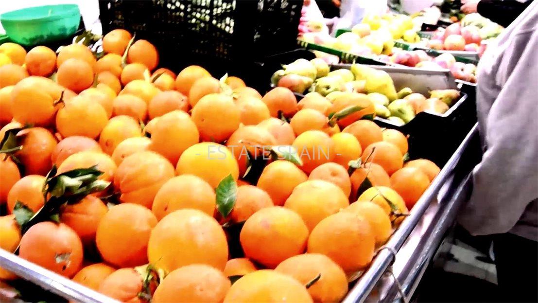 Апартаменты в Торревьехе 35 м2 №ART25917F594E  - Продажа - 25 large