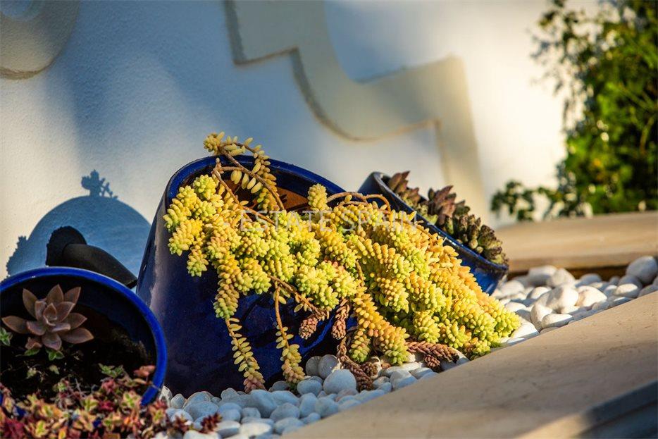 Особняк в Сотогранде 695 м2 №VL2412254864F  - Продажа - 34 large