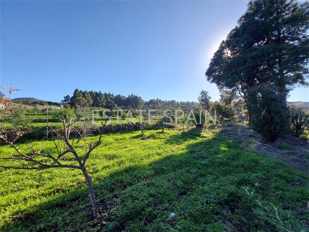 Сельский дом в Икод-де-лос-Винос 85 м2 №VL212259AB37  - Продажа - 10 preview