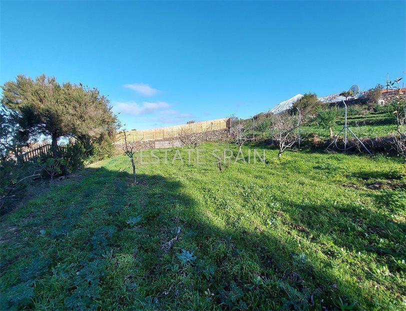 Сельский дом в Икод-де-лос-Винос 85 м2 №VL212259AB37  - Продажа - 9 large