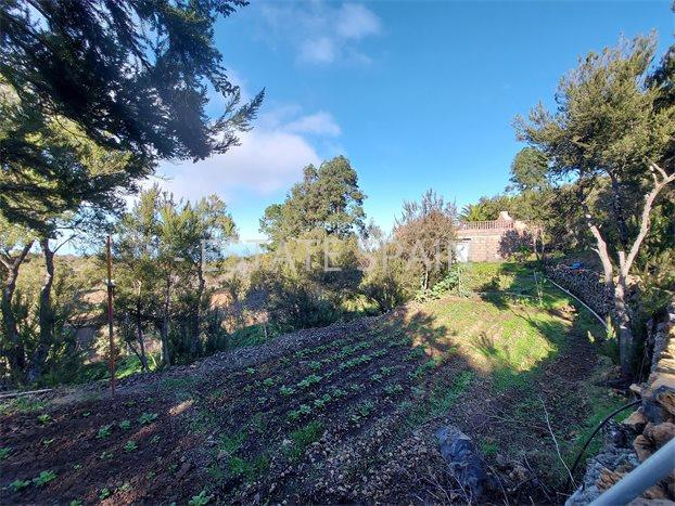 Сельский дом в Икод-де-лос-Винос 85 м2 №VL212259AB37  - Продажа - 13 preview