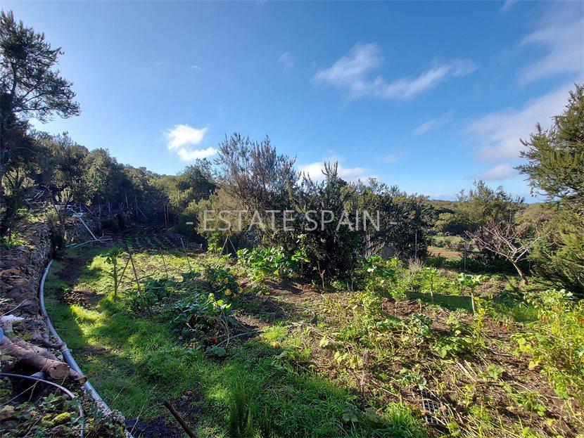 Сельский дом в Икод-де-лос-Винос 85 м2 №VL212259AB37  - Продажа - 14 large