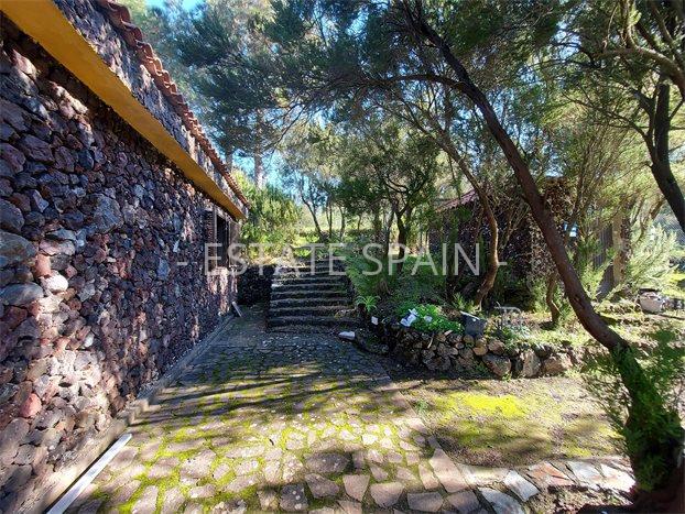 Сельский дом в Икод-де-лос-Винос 85 м2 №VL212259AB37  - Продажа - 8 preview