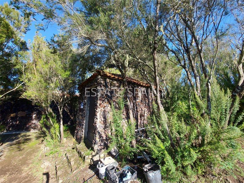 Сельский дом в Икод-де-лос-Винос 85 м2 №VL212259AB37  - Продажа - 11 large