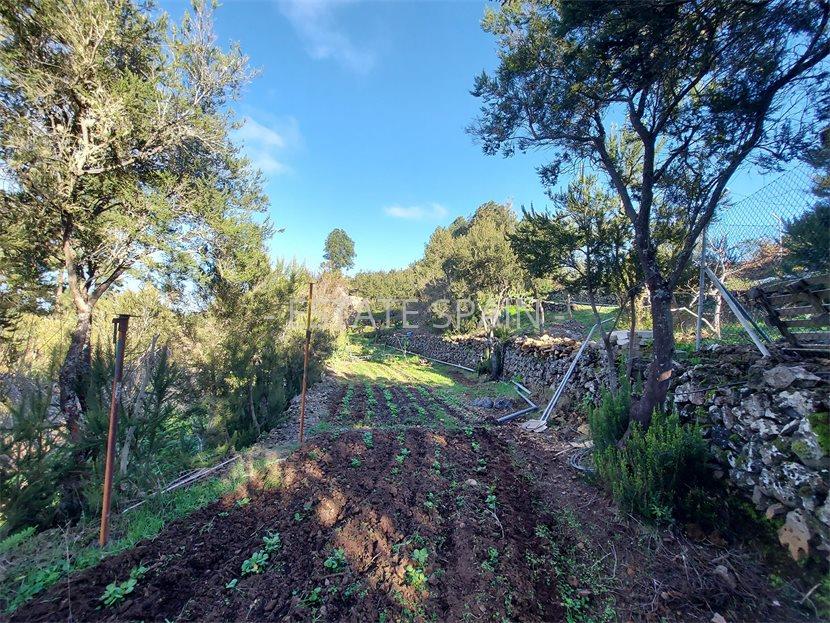 Сельский дом в Икод-де-лос-Винос 85 м2 №VL212259AB37  - Продажа - 15 large