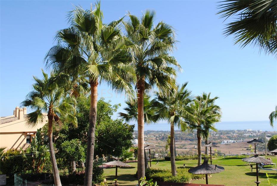 Дом в Бенаависе 776 м2 №VL24529EEDF5  - Продажа - 17 large