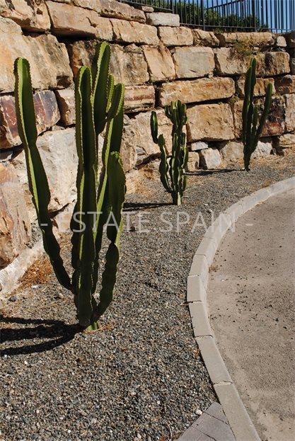 Дом в Бенаависе 776 м2 №VL24529EEDF5  - Продажа - 18 large