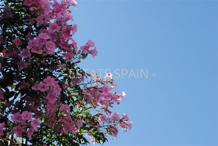 Дом в Бенаависе 776 м2 №VL24529EEDF5  - Продажа - 20 preview