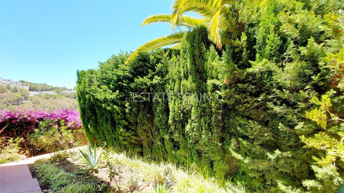 Вилла в Альтее 210 м2 №VL2462383EFF  - Продажа - 10 large