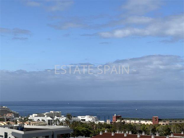 Апартаменты в Коста-Адехе 130 м2 №ART2582989108  - Продажа - 27 preview