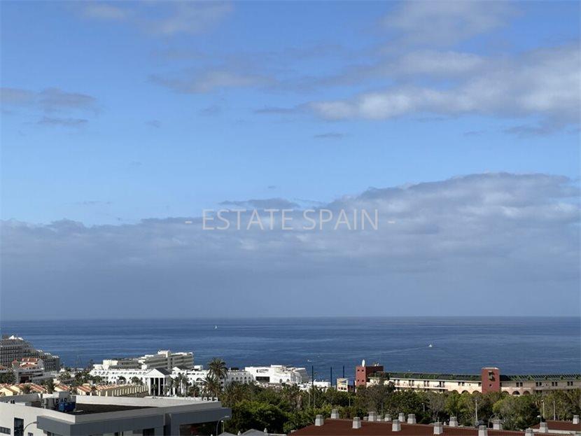 Апартаменты в Коста-Адехе 130 м2 №ART2582989108  - Продажа - 27 large