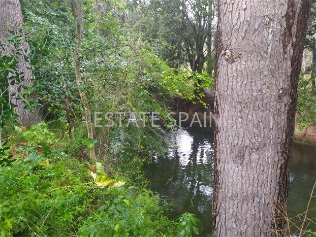 Сельский дом в Арта 380 м2 №VL23101565574  - Продажа - 31 preview