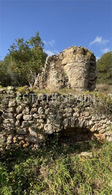 Сельский дом в Арта 380 м2 №VL23101565574  - Продажа - 33 large