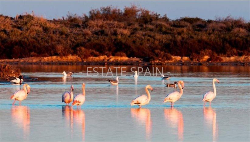 Вилла в Сан-Педро-дель-Пинатар 107 м2 №VL251093A30C  - Продажа - 10 preview