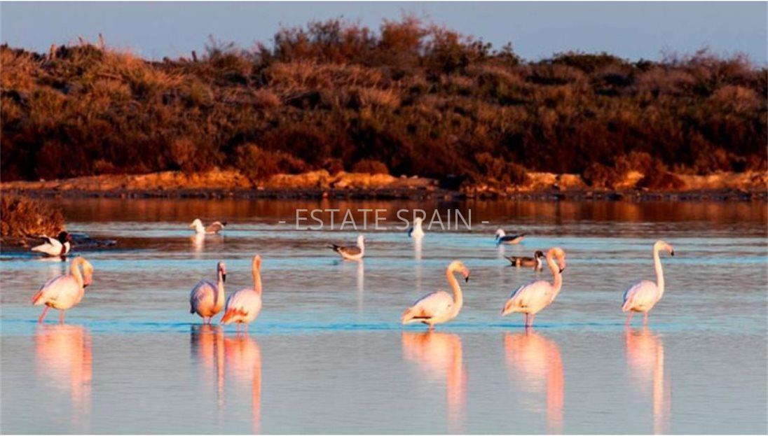 Вилла в Сан-Педро-дель-Пинатар 107 м2 №VL251093A30C  - Продажа - 10 large