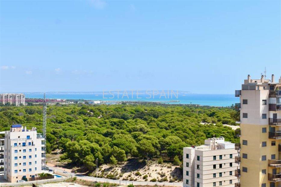 Пентхаус в Гуардамар-дель-Сегура 83 м2 №ART2251259480  - Продажа - 22 large