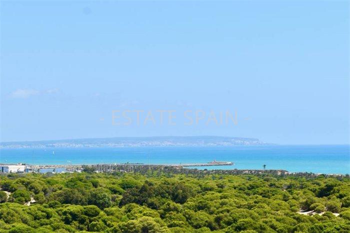 Пентхаус в Гуардамар-дель-Сегура 83 м2 №ART2251259480  - Продажа - 20 preview