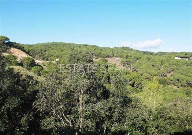 Шале в Сан-Андрес-де-Льеванерас 200 м2 №TAU1831F623  - Продажа - 2 preview